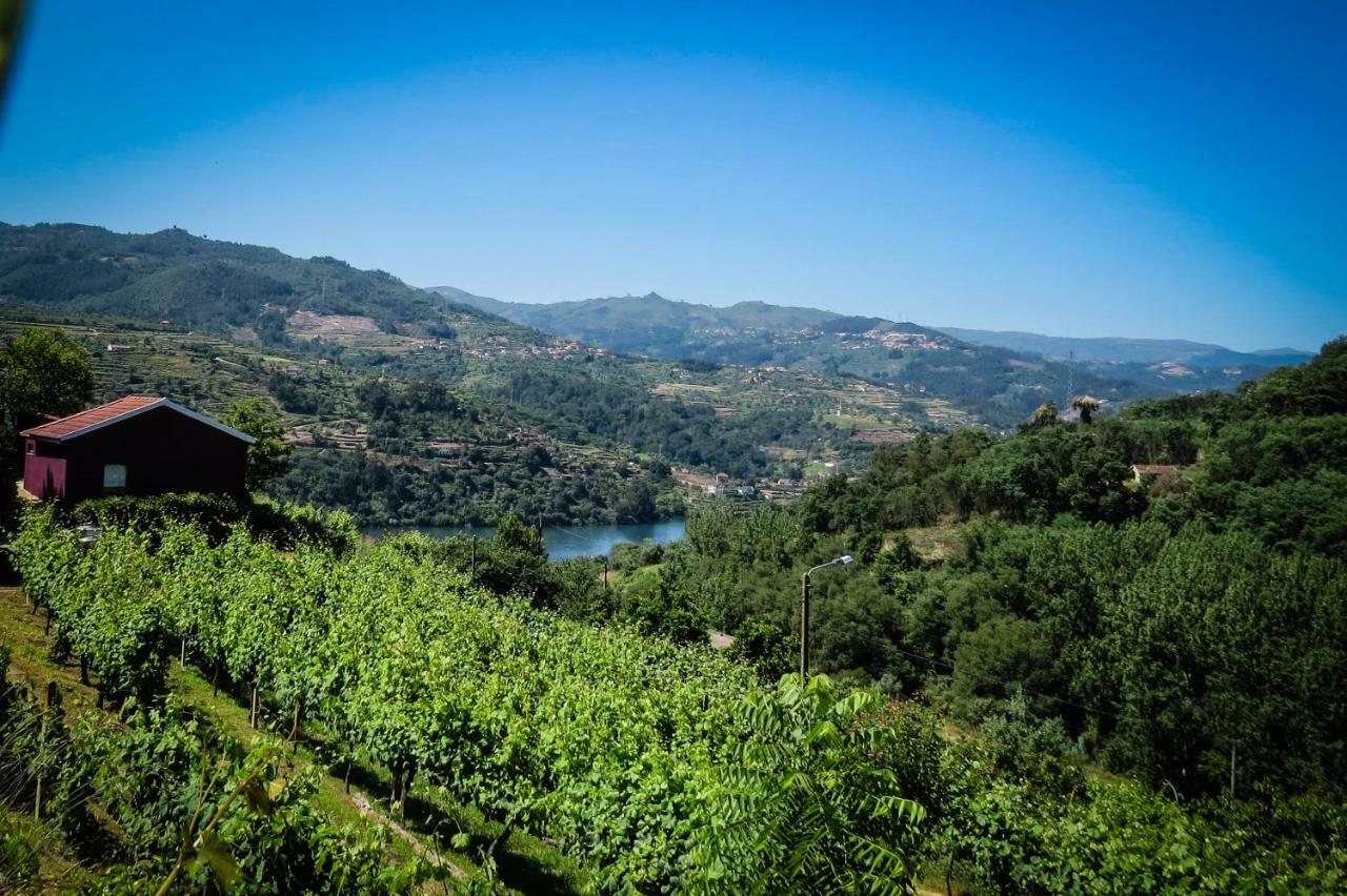 Baião Casa Da Mouta - Douro Valley מראה חיצוני תמונה