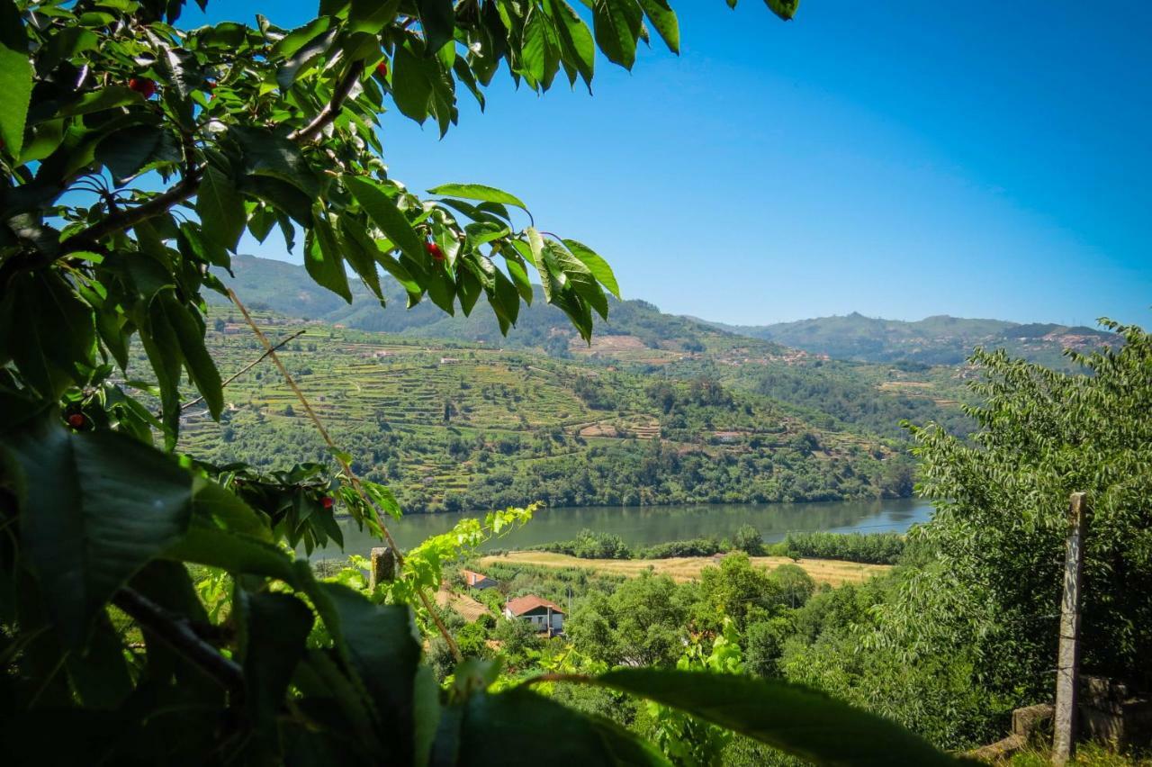 Baião Casa Da Mouta - Douro Valley מראה חיצוני תמונה